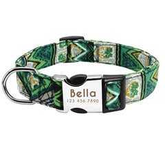 Nylon Collar Perro