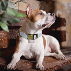 Name ID Collars