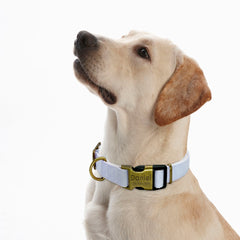 Name ID Collars