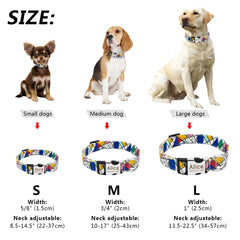 Collar Personalized Nylon